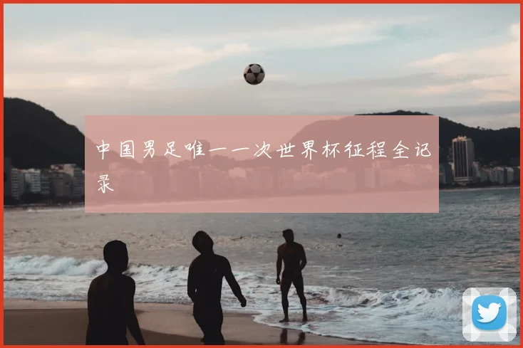 中国男足唯一一次世界杯征程全记录